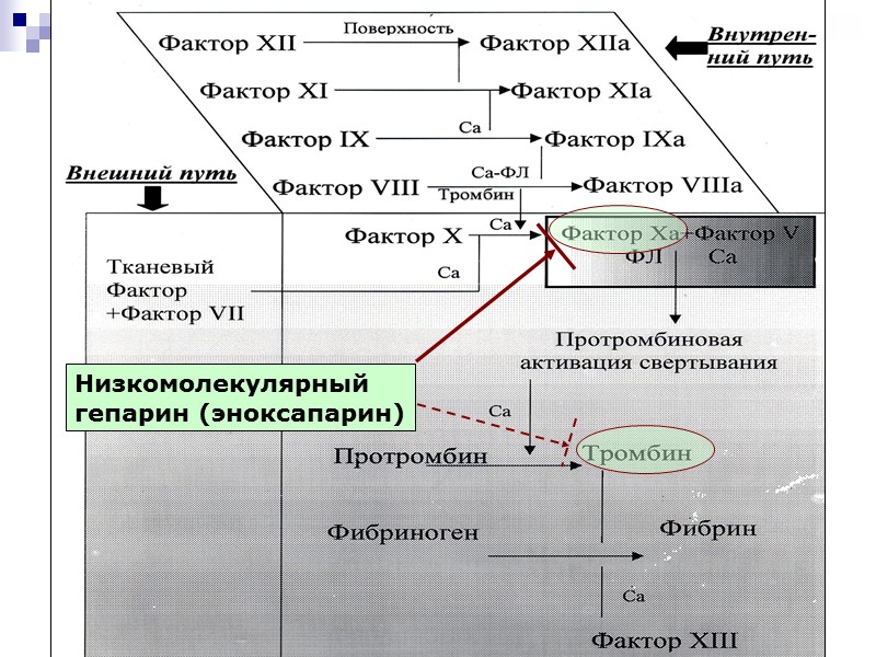 Низкомолекулярный  гепарин (эноксапарин)